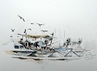 Vrsar Fisher Croatia 